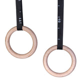 Gym Rings - Available in Wood or Plastic