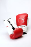 Sparring/Training Gloves - Lace Up