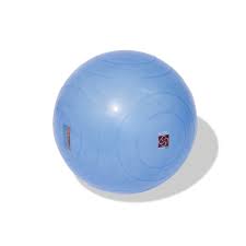 BOSU Ballast Ball - 65cm